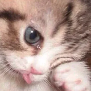 Sticker Стикеры для общения со мной - 2