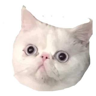 Sticker Стикеры для общения со мной - 11