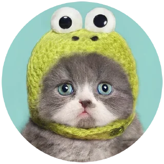 Sticker Стикеры для общения со мной - 1