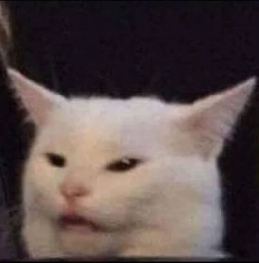 Стикер Kitty_Cat :: @fStikBot - 4