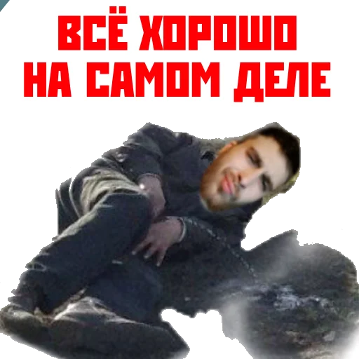 Sticker Animalssos - 1