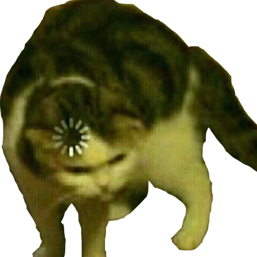 животное млекопитающее кошка