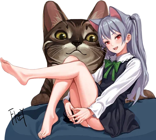 cat mammal animation