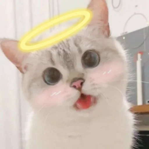 Sticker AnimuMichi - 1