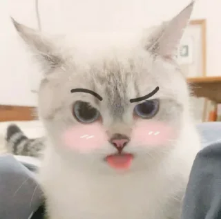 Sticker Animu Michi (De Katsonuki) - 7