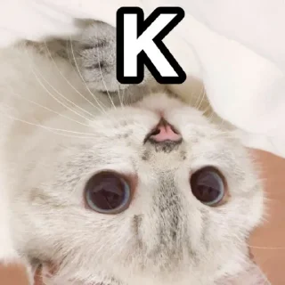 Sticker Animu Michi (De Katsonuki) - 1