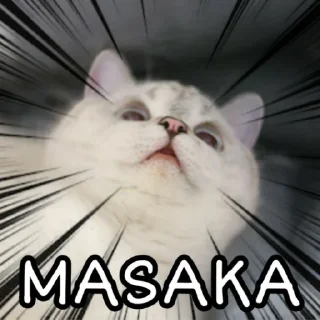 Sticker Animu Michi (De Katsonuki) - 11