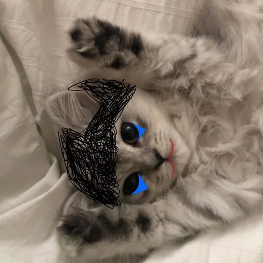 кошки малого и среднего размера кошачьи мех