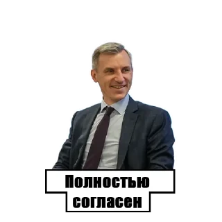 Sticker Василий Анохин - 10
