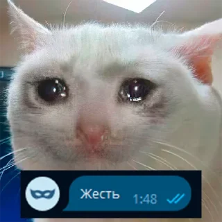 Sticker @Zanosik4 - Первый новостной казино канал - 8