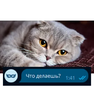 Sticker @Zanosik4 - Первый новостной казино канал - 3