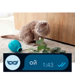 Sticker @Zanosik4 - Первый новостной казино канал - 0