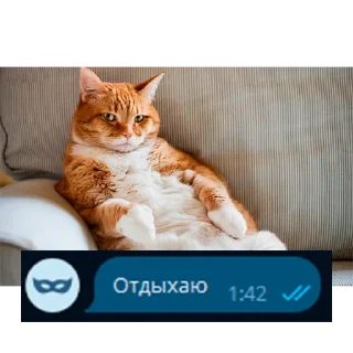 Sticker @Zanosik4 - Первый новостной казино канал - 2