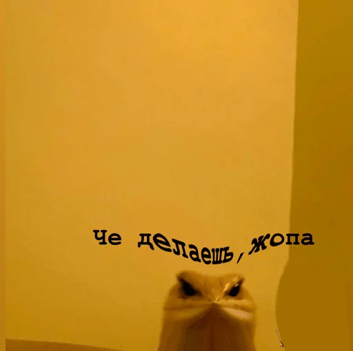 text wall handwriting