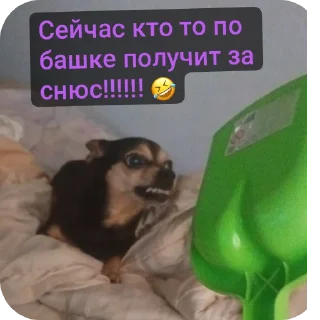 Sticker Анонимусы либо снюсоеды. Квд говно!!!!!!!!!! 💩💩 - 4