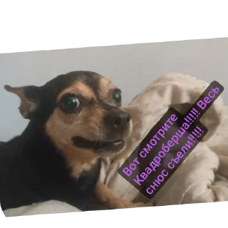 Sticker Анонимусы либо снюсоеды. Квд говно!!!!!!!!!! 💩💩 - 8