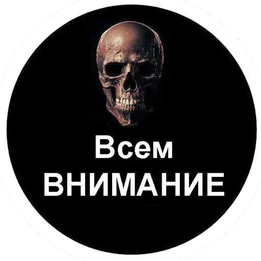 СМС череп плакат