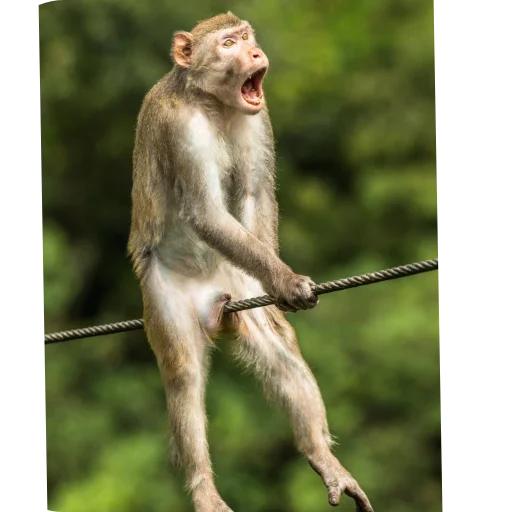 Sticker AntiKVDRuski - 1