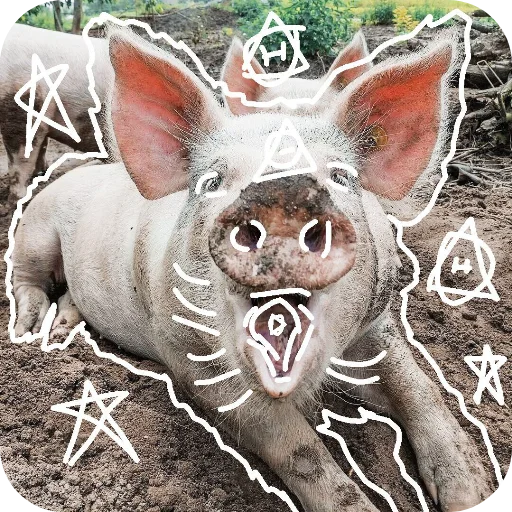 Sticker AntiKvadrobika22 - 1