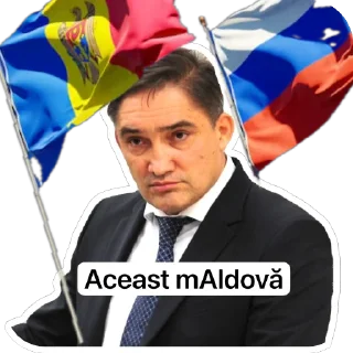 Sticker Anti-Șoricei - 11