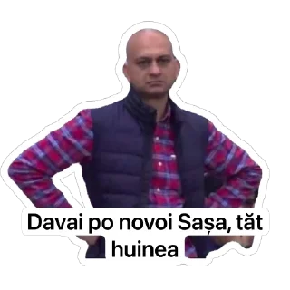 Sticker Anti-Șoricei - 7
