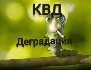 Стикер Заходи в тгк @anti_kvadrobery @MoiStikiBot - 4