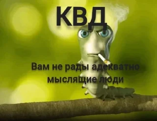 Стикер Заходи в тгк @anti_kvadrobery @MoiStikiBot - 7