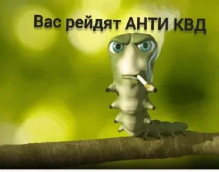 Стикер Заходи в тгк @anti_kvadrobery @MoiStikiBot - 3