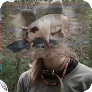 Sticker Стикеры анти квд сообщества - 4