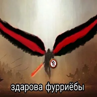 butterfly text moths and butterflies