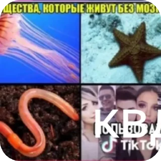 Стикер Антиквд🤝анонимусы - 8