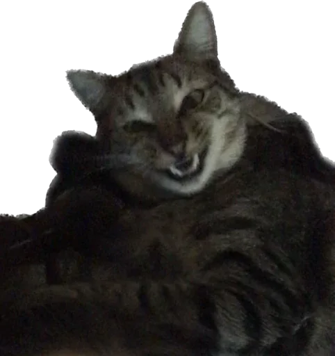 Sticker Antiuvazhenie1 - 1