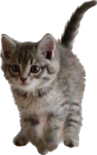 Sticker Antiuvazhenie1 - 1