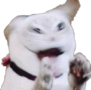 Стикер KiT by @antiuvazhenie - 4