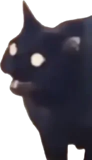 Стикер KiT by @antiuvazhenie - 7