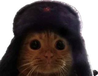 Стикер KiT by @antiuvazhenie - 6