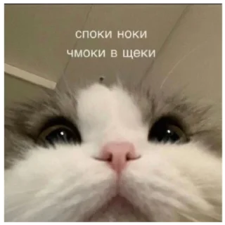 Sticker Наркот - 6