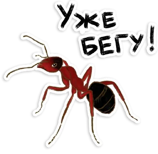 Стикер Муравьи - 6