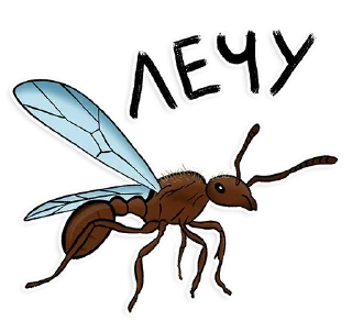 Стикер Муравьи - 2