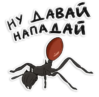Стикер Муравьи - 5