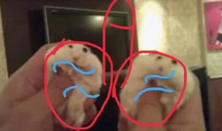 Стикер Bebrologi - 11