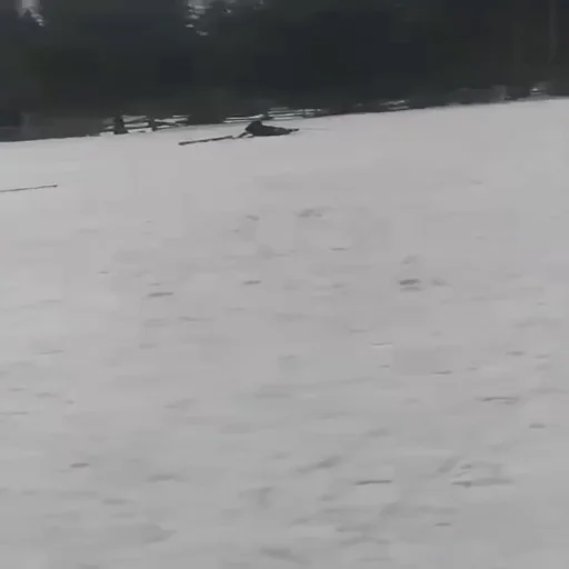 треш топ - на открытом воздухе