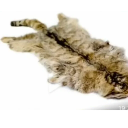 Стикер Анютка про сделала - 5