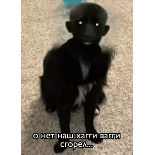 Стикер Анютка про сделала - 4