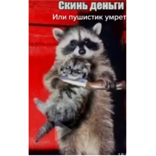 Стикер Анютка про сделала - 0