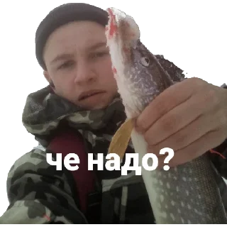 Sticker Ануча02865 - 8