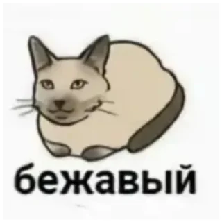 Sticker Аоао - 8