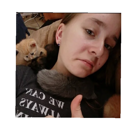 person domestic cat small to medium-sized cats