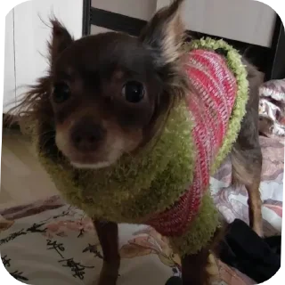 Стикер Аофхахф - 10