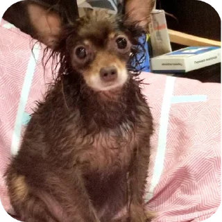 Стикер Аофхахф - 0